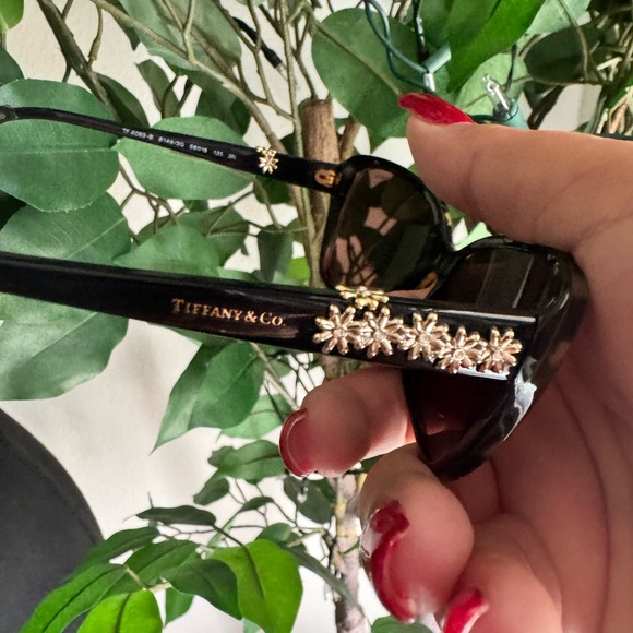 Tiffany & Co. tortoise 🐢 Sunglasses - Picture 3 of 10